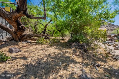 1348 E Ruth Ave, Phoenix, AZ 85020 photo 62