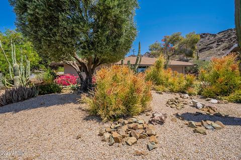 1348 E Ruth Ave, Phoenix, AZ 85020 photo 5