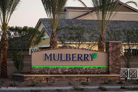 10530 E Naranja Ave, Mesa, AZ 85209 photo 50
