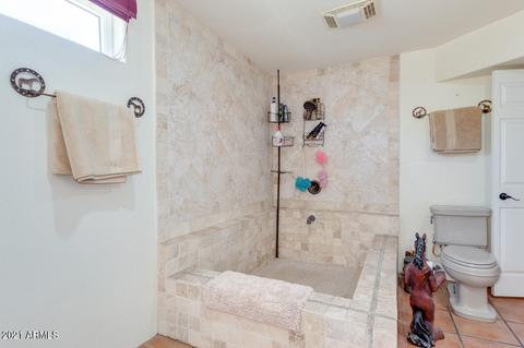 5136 E 10th Ave, Apache Junction, AZ 85119 photo 39