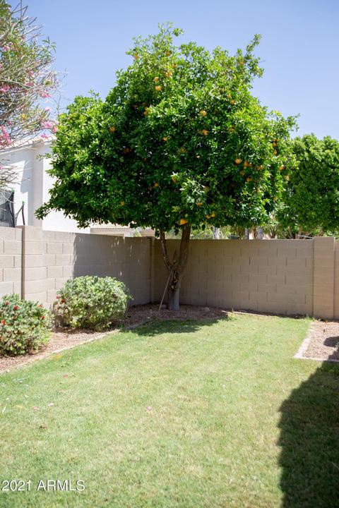 1824 E Pinto Dr, Gilbert, AZ 85296 photo 33