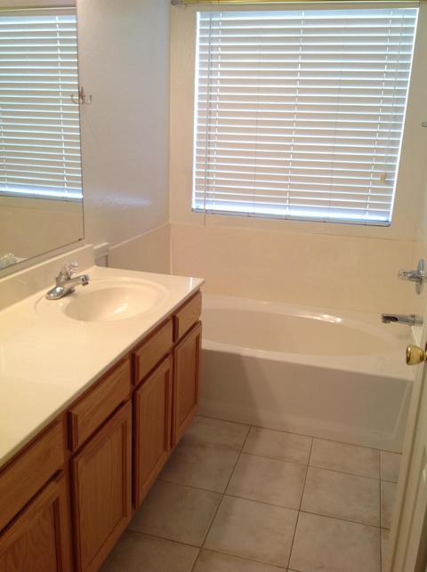 4540 E Olney Ave, Gilbert, AZ 85234 photo 10