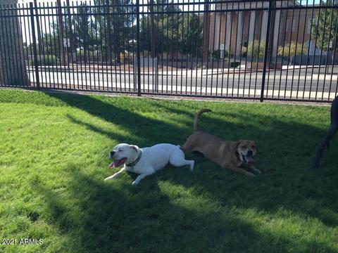 1326 N Central Ave #303, Phoenix, AZ 85004 photo 36