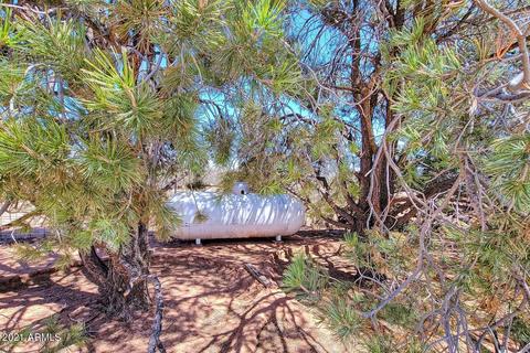 6400 N Brooks Rd, Douglas, AZ 85607 photo 19