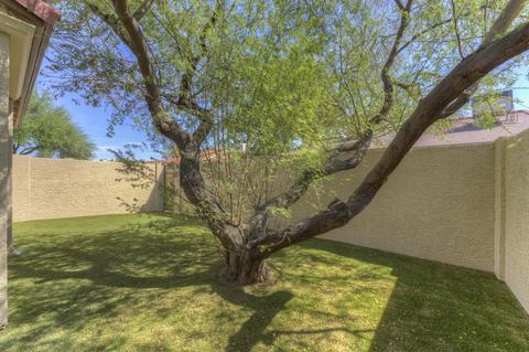 2059 E Brown Rd #76, Mesa, AZ 85213 photo 36