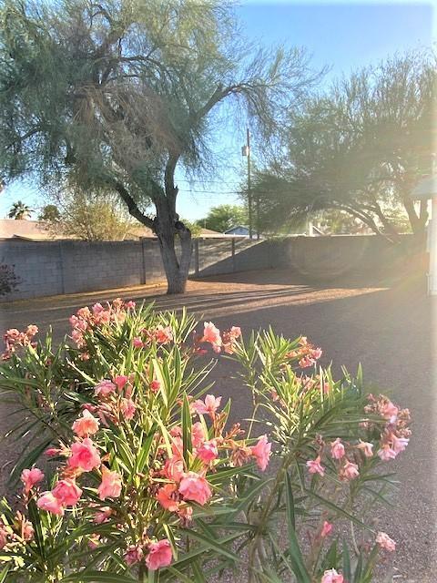 749 E Osage Ave, Apache Junction, AZ 85119 photo 2