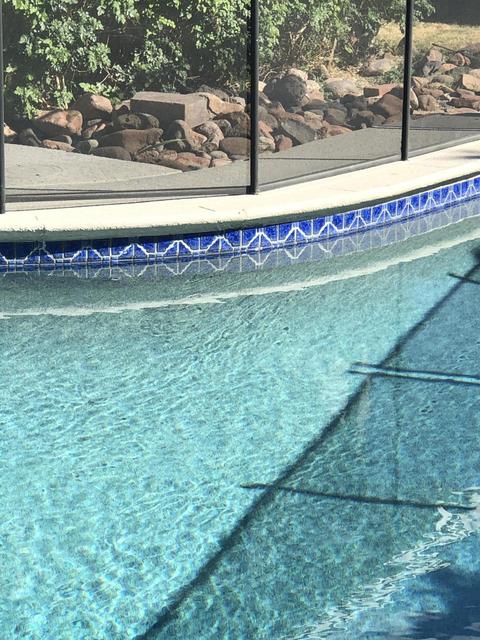 8810 N 17th Dr, Phoenix, AZ 85021 photo 25