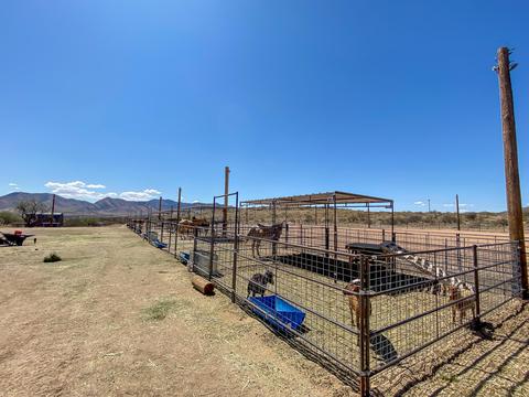 4566 E Serenity Ln, Dragoon, AZ 85609 photo 67