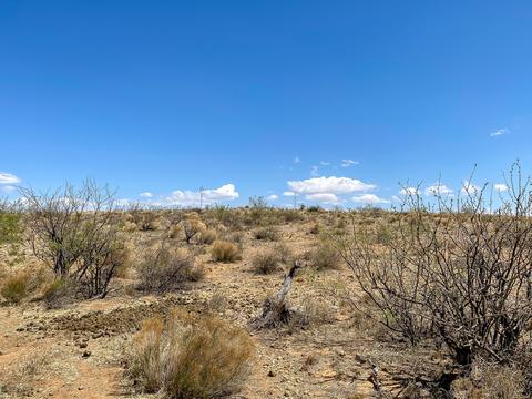 4566 E Serenity Ln, Dragoon, AZ 85609 photo 73