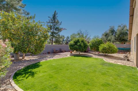 2269 E Robin Ln, Gilbert, AZ 85296 photo 28