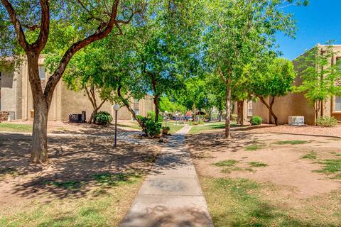 3825 E Camelback Rd #224, Phoenix, AZ 85018 photo 32