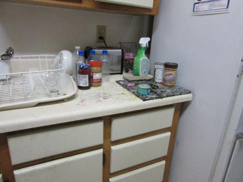 829 E Glendale Ave, Phoenix, AZ 85020 photo 12