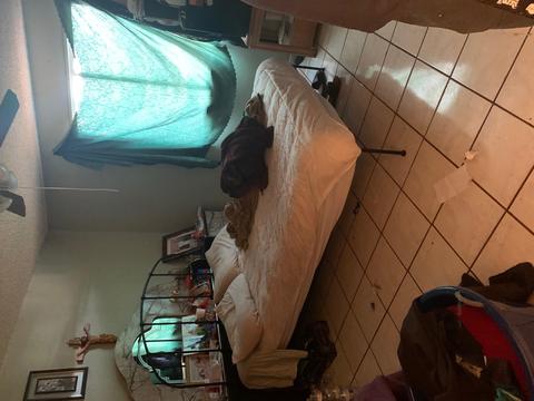 3734 E Joan De Arc Ave, Phoenix, AZ 85032 photo 8