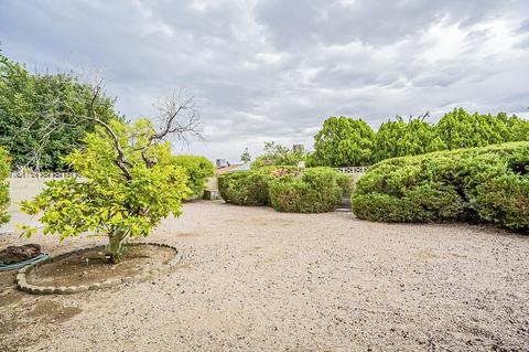4259 E Sacaton St, Phoenix, AZ 85044 photo 51