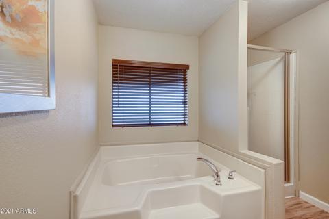 9650 E Sunland Ave, Mesa, AZ 85208 photo 29