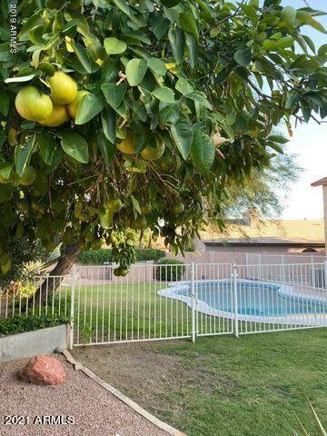 4406 E Gatewood Rd, Phoenix, AZ 85050 photo 27