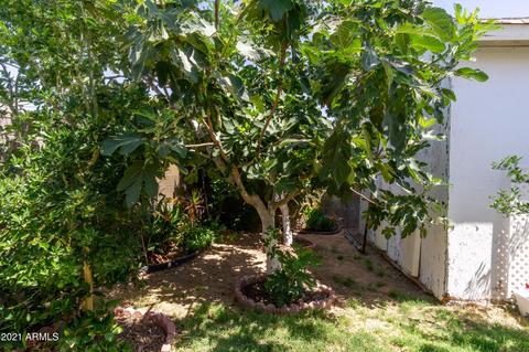 10742 E Mercury Dr, Apache Junction, AZ 85120 photo 35