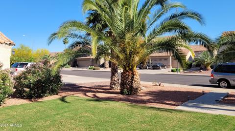 9532 E Jan Ave, Mesa, AZ 85209 photo 3