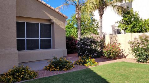 9532 E Jan Ave, Mesa, AZ 85209 photo 2