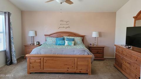 9532 E Jan Ave, Mesa, AZ 85209 photo 18