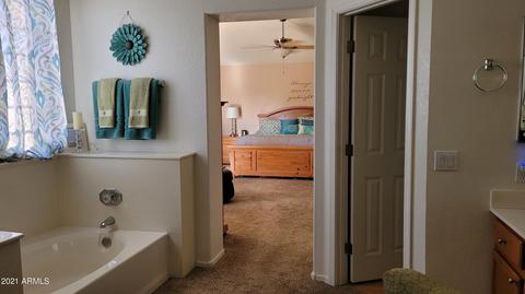 9532 E Jan Ave, Mesa, AZ 85209 photo 22