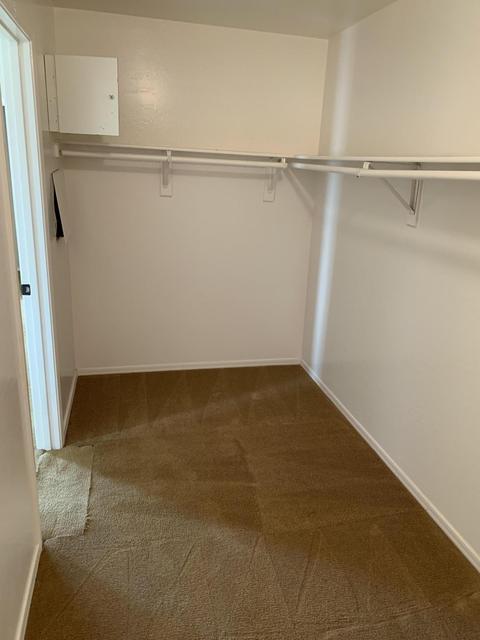 3650 E Leslie Dr, Gilbert, AZ 85296 photo 24