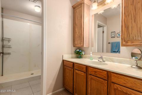2463 E Jasmine Cir, Mesa, AZ 85213 photo 31