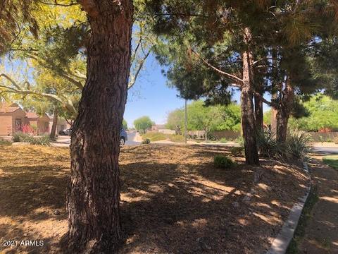 2206 E Constance Way, Phoenix, AZ 85042 photo 14
