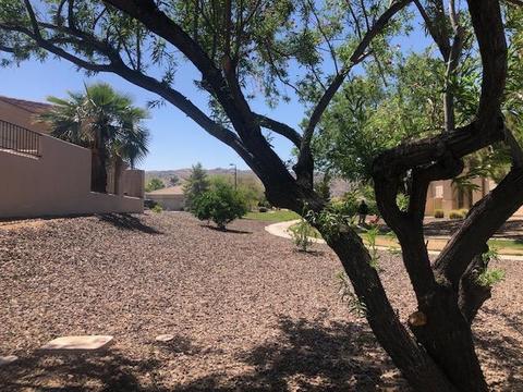 2206 E Constance Way, Phoenix, AZ 85042 photo 15