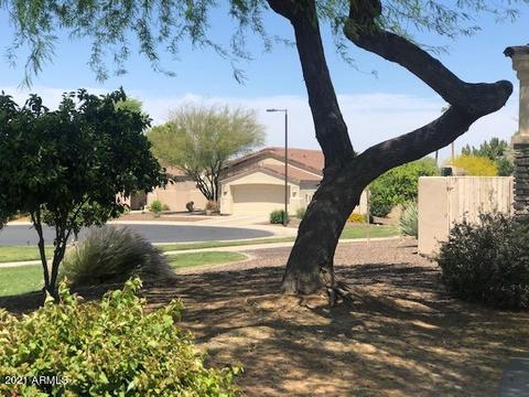 2206 E Constance Way, Phoenix, AZ 85042 photo 13