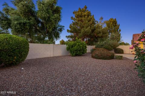 10046 E Copper Dr, Sun Lakes, AZ 85248 photo 41