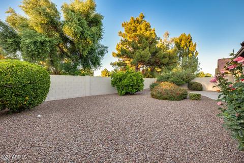 10046 E Copper Dr, Sun Lakes, AZ 85248 photo 36