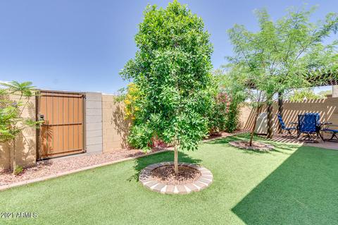 4550 E Wescott Dr, Phoenix, AZ 85050 photo 22