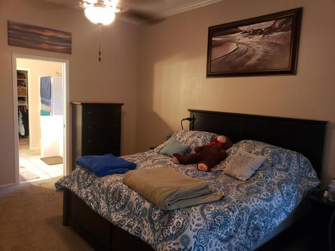 10514 E Forge Ave, Mesa, AZ 85208 photo 11