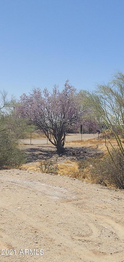 4414 N Desert View Dr, Apache Junction, AZ 85120 photo 25