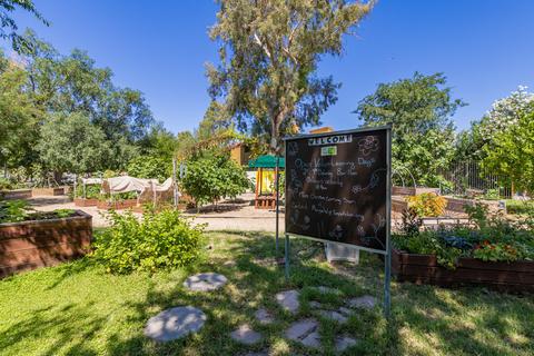 2086 E 10th St, Tempe, AZ 85281 photo 27
