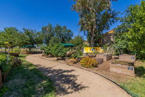 2086 E 10th St, Tempe, AZ 85281 photo 28