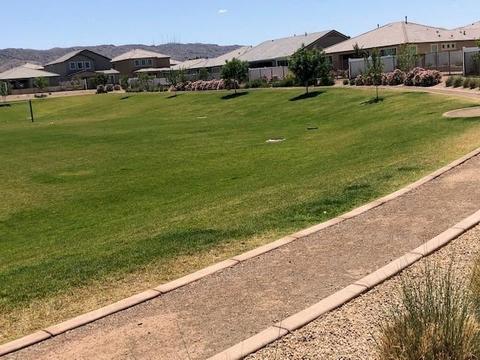 2423 E Nancy Ln, Phoenix, AZ 85042 photo 29