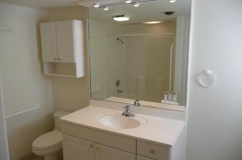 1125 E Dolphin Cir, Mesa, AZ 85204 photo 60