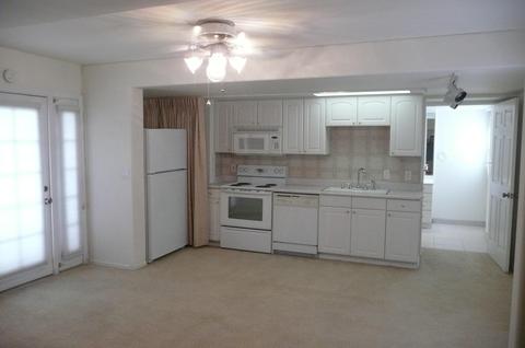 1125 E Dolphin Cir, Mesa, AZ 85204 photo 56