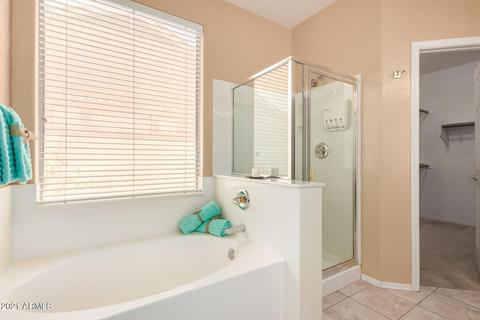 9357 E Princess Dr, Mesa, AZ 85207 photo 20