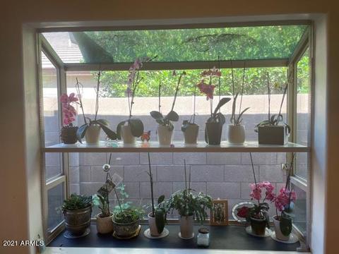 9638 E Osage Ave, Mesa, AZ 85212 photo 6