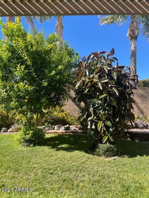 9638 E Osage Ave, Mesa, AZ 85212 photo 5