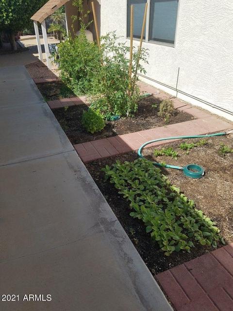 918 E Pedro Rd, Phoenix, AZ 85042 photo 21