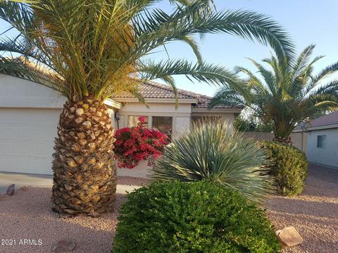 918 E Pedro Rd, Phoenix, AZ 85042 photo 3