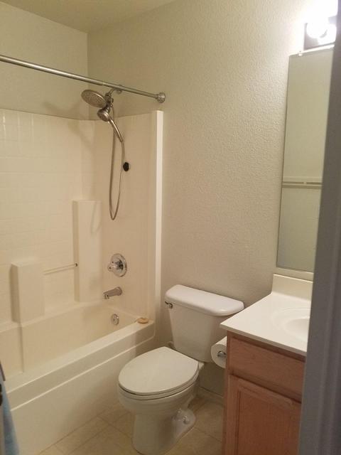 918 E Pedro Rd, Phoenix, AZ 85042 photo 13
