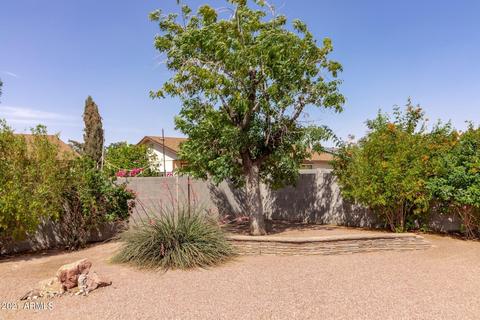 2862 E Dolphin Ave, Mesa, AZ 85204 photo 23