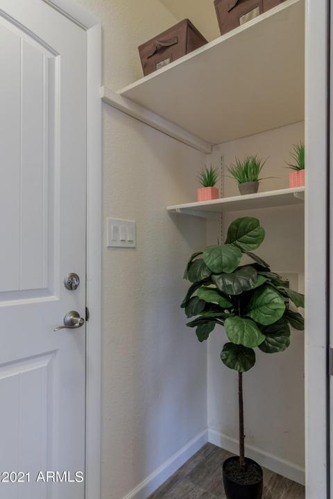 2862 E Dolphin Ave, Mesa, AZ 85204 photo 18