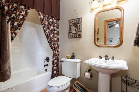 2242 Kodiak Cir, Overgaard, AZ 85933 photo 17