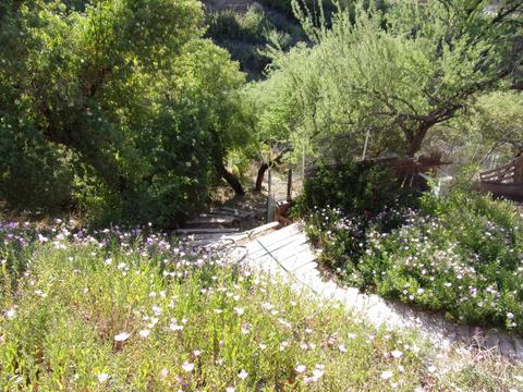 358 N Sunset Cir, Payson, AZ 85541 photo 10
